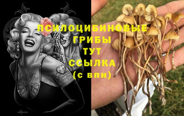 таблы Вязьма