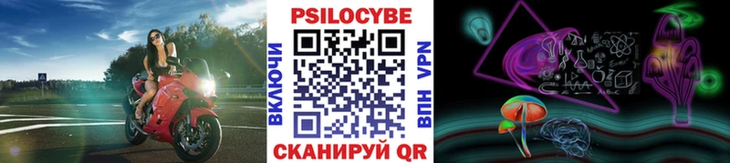 Галлюциногенные грибы прущие грибы  Малаховка 